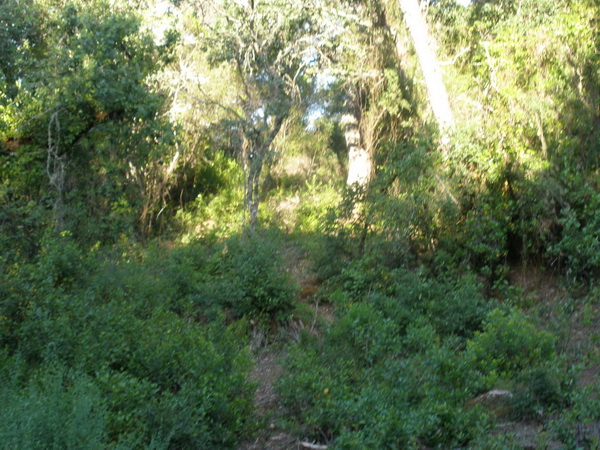Fénykép Por los cortijos del Caño, Quiñones y El Torreón